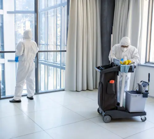 Bank Cleaning