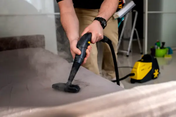 bed bug control image