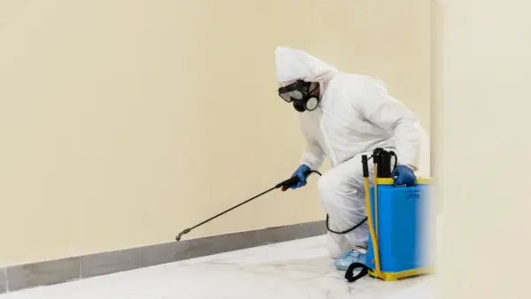 cockroach control image